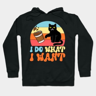 I Do What I Want Cat Coffee Sassy Cat Cup Funny Cat Meme Hoodie